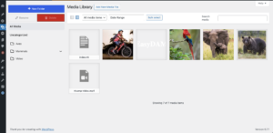 assets-management-for-wordpress