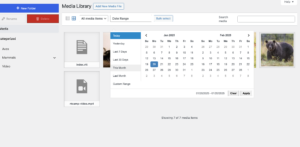 custom-date-range-filter