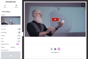 elementor-video-controls