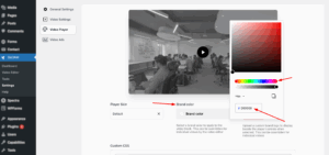 brand-colour-video-player-theme