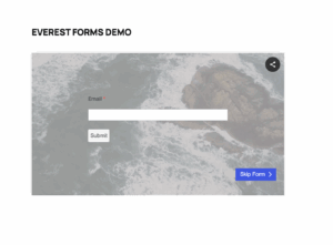 everest-forms-video-output