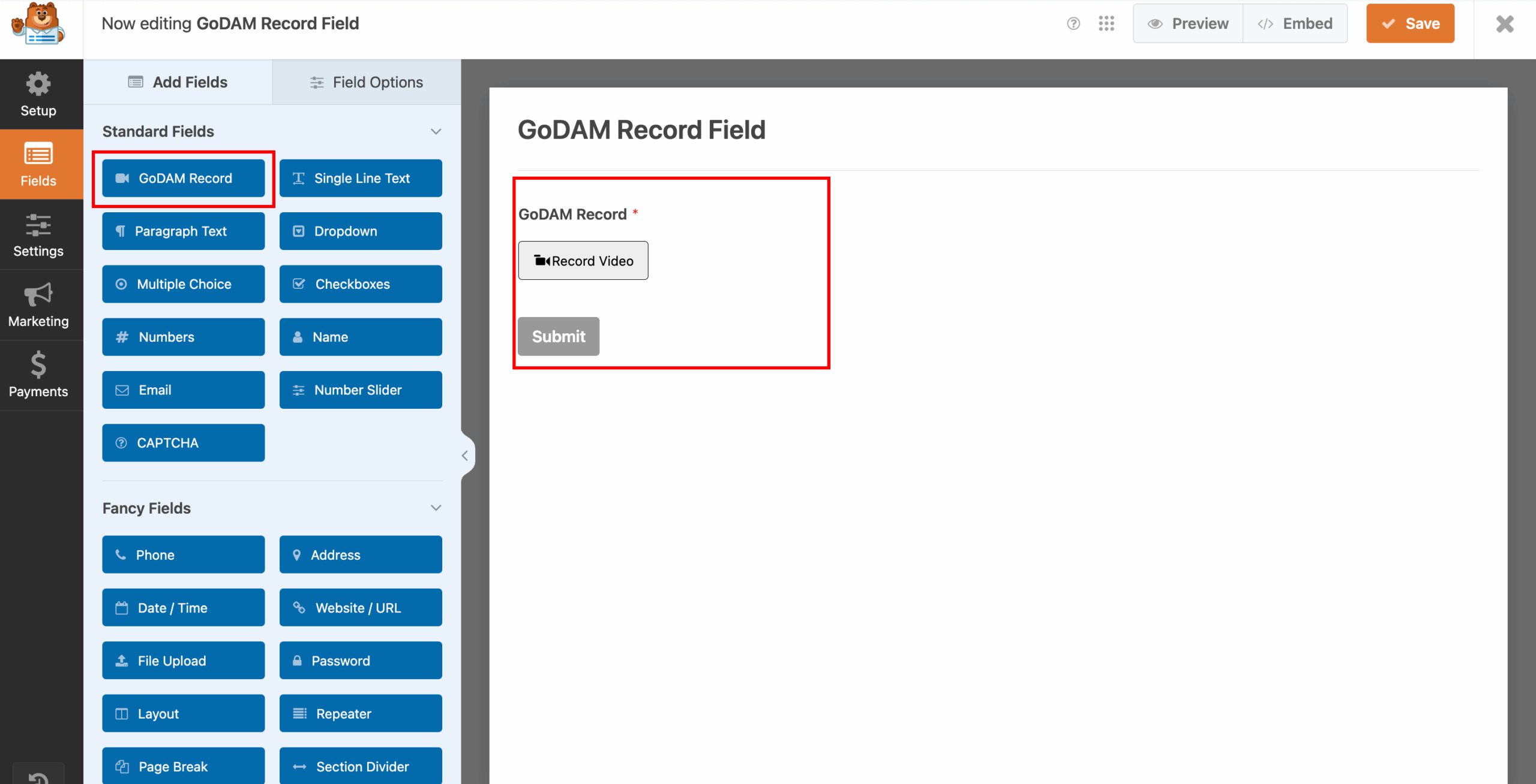 recorder-field-wpforms