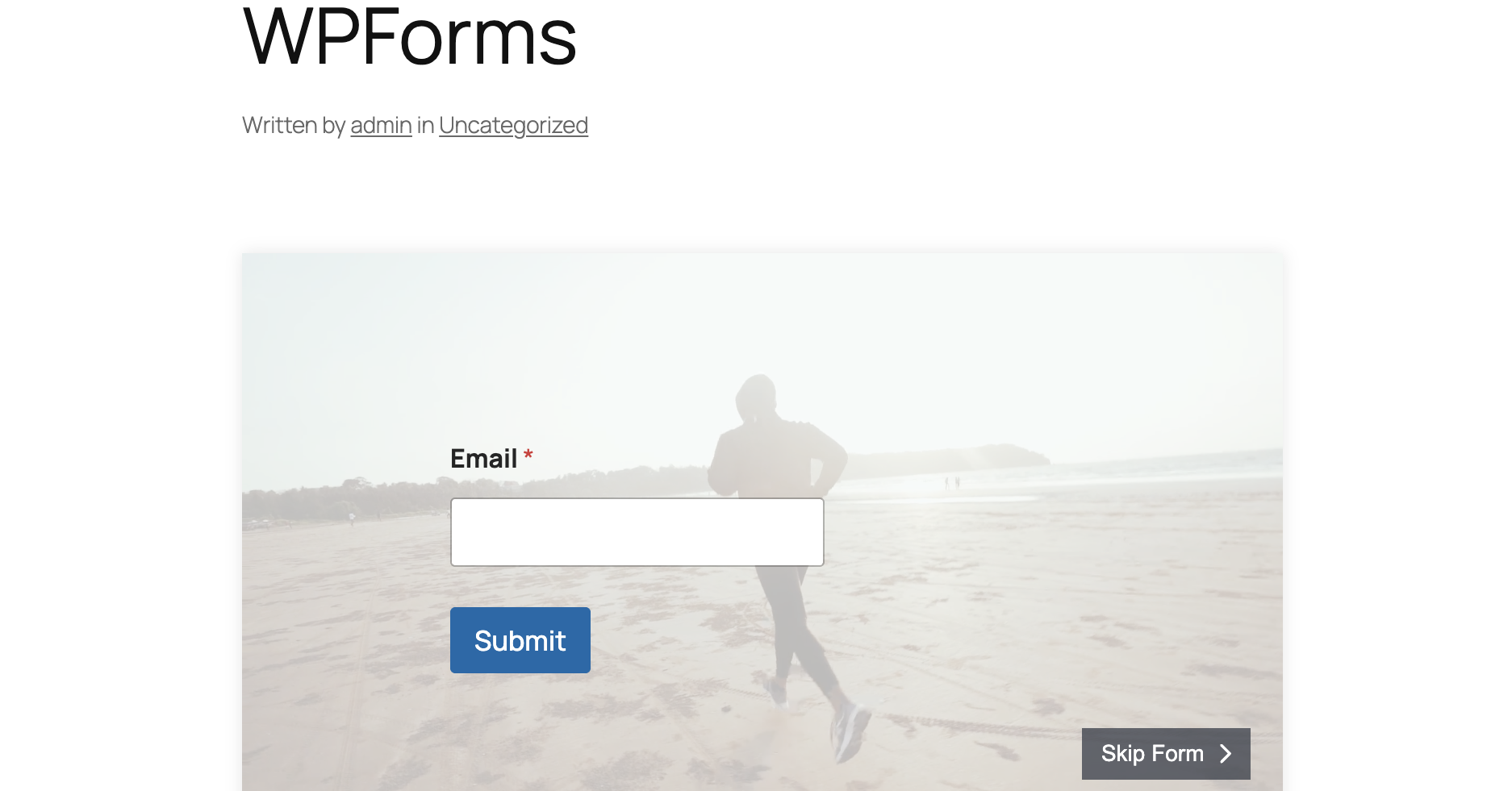 WP-Forms-Frontend-edited