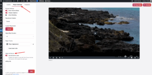 google-adsense-video-ads-2