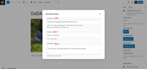Video SEO feature GoDAM blog img 1