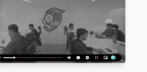 custom brand player skin and logo