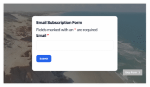 ninja-forms-demo-image
