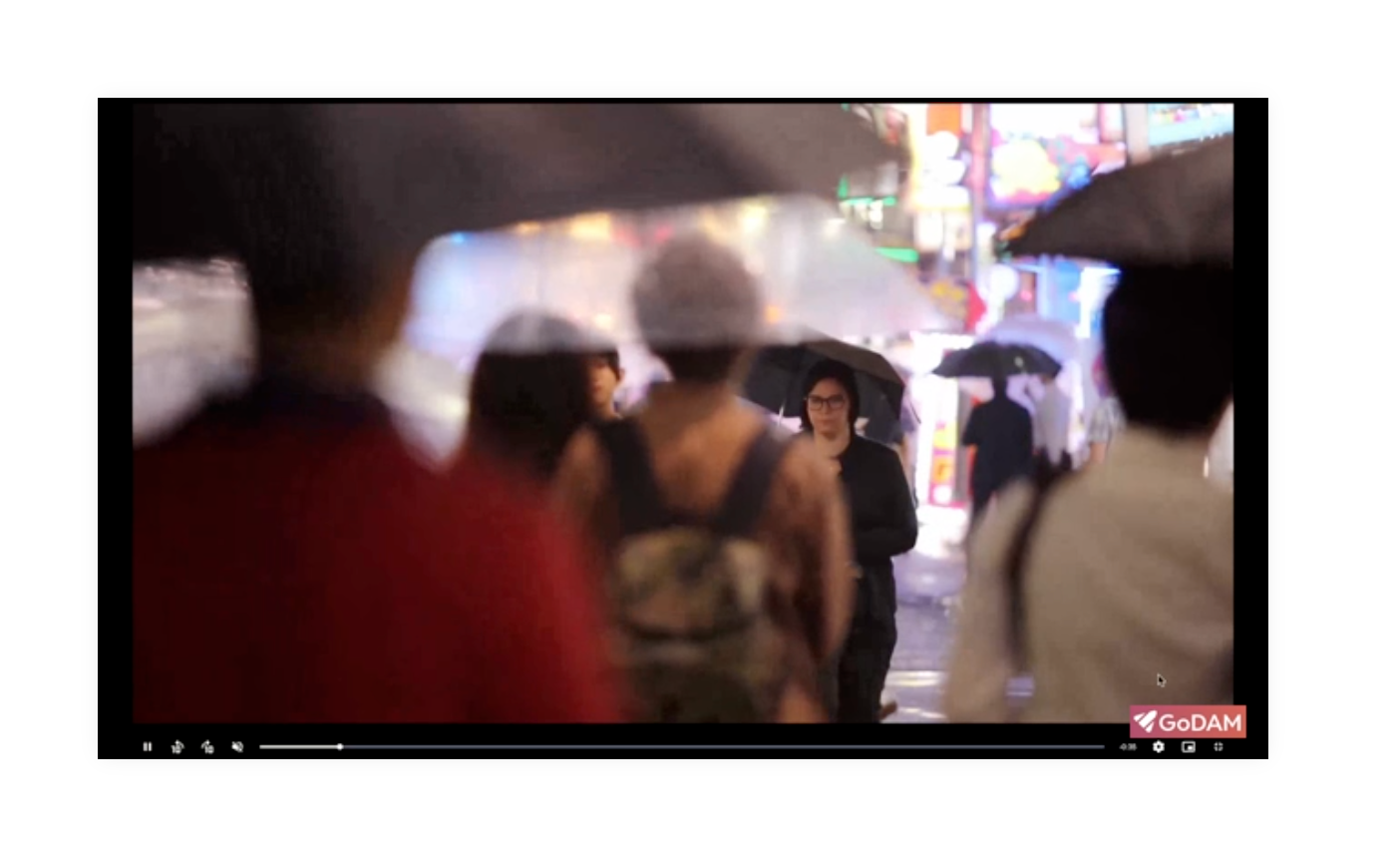 video-watermark-feature