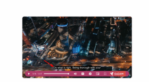 Manual video subtitles in WordPress with GoDAM 5