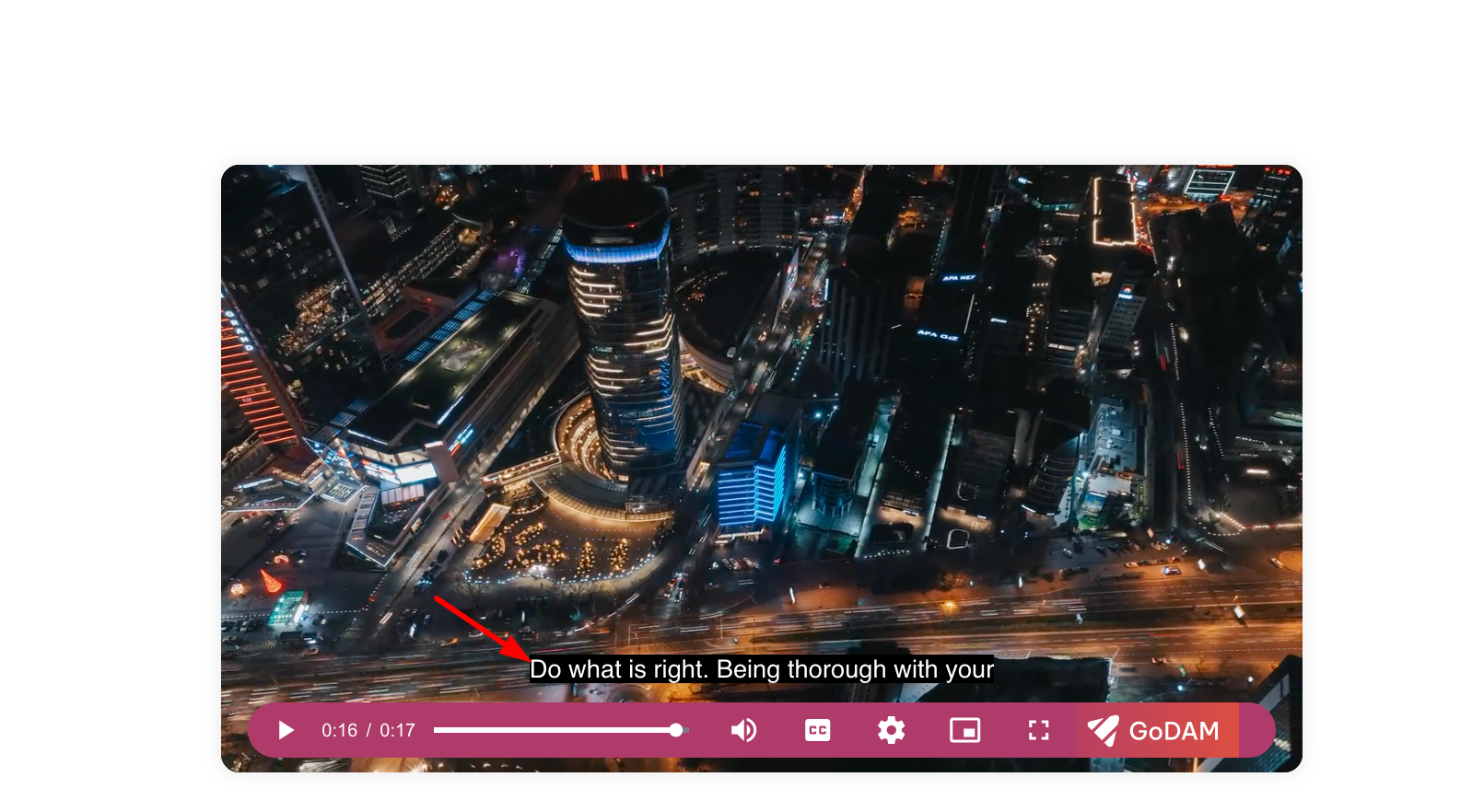 Manual-video-subtitles-in-WordPress-with-GoDAM-5