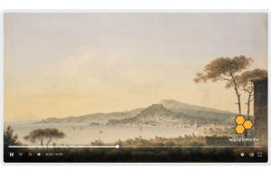 Watermark your videos to protect your content