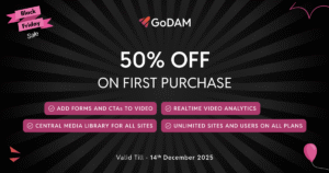 GoDAM WordPress Black Friday and Cyber Monday Sale 2025