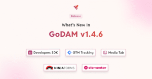 GoDAM 1.4.6 brings Developer SDK, GTM tracking, Elementor updates