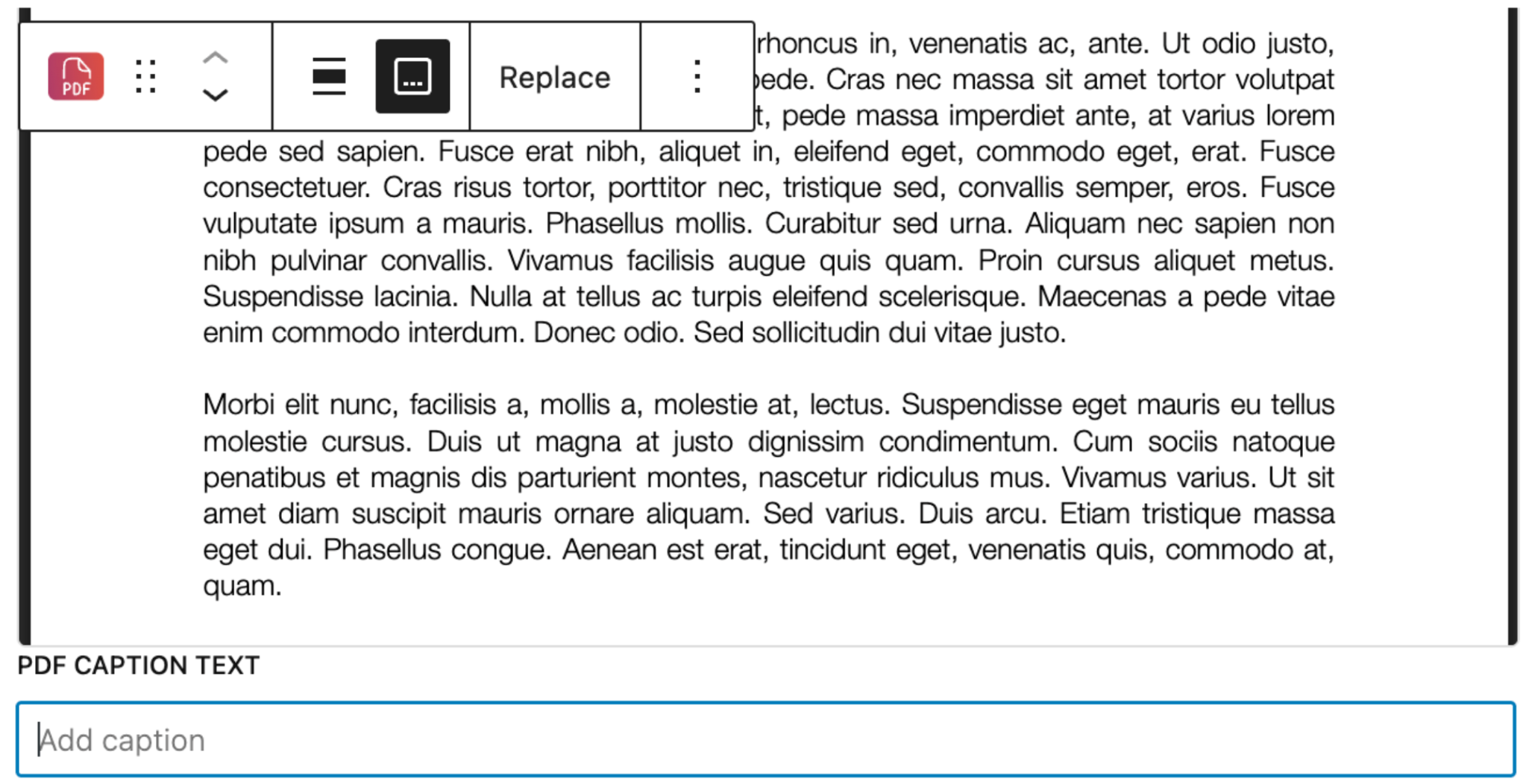 GoDAM PDF block set caption, insert PDF to WordPress post or page